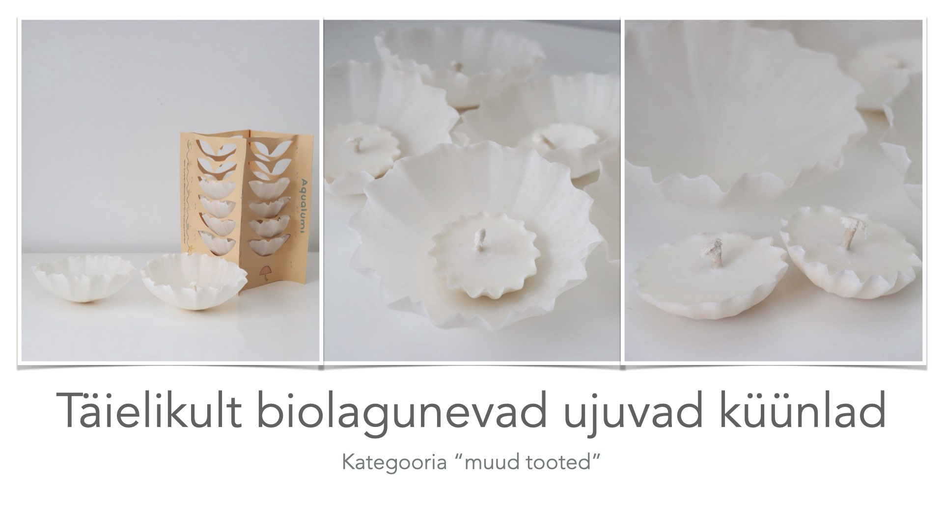 küünalde pilt 2.001.jpeg (122 KB)